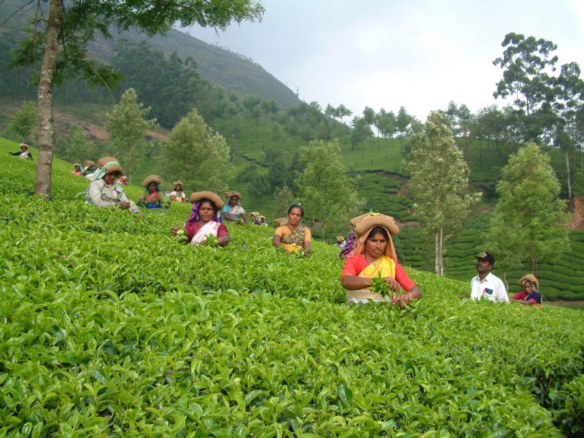 דירות Anachal Mistica Munnar מראה חיצוני תמונה