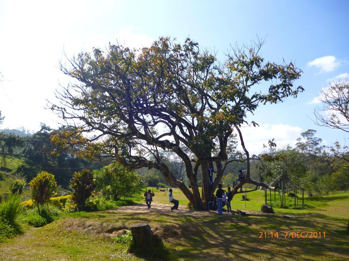 דירות Anachal Mistica Munnar מראה חיצוני תמונה