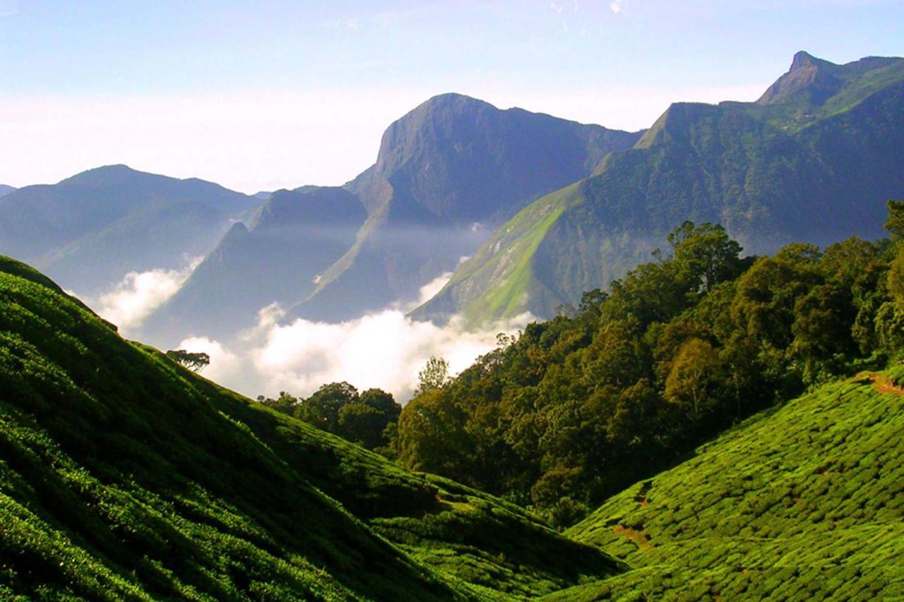 דירות Anachal Mistica Munnar מראה חיצוני תמונה