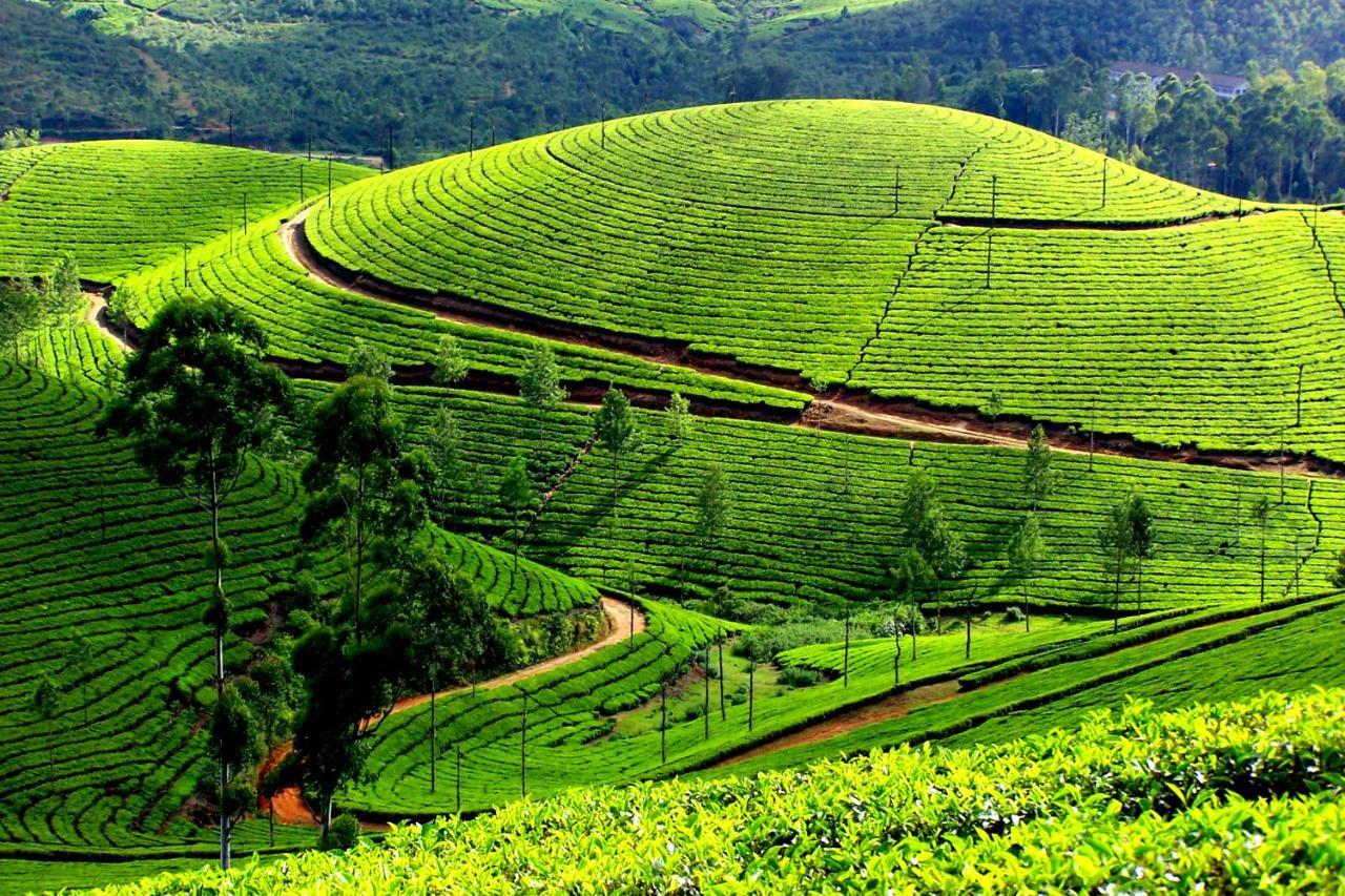 דירות Anachal Mistica Munnar מראה חיצוני תמונה