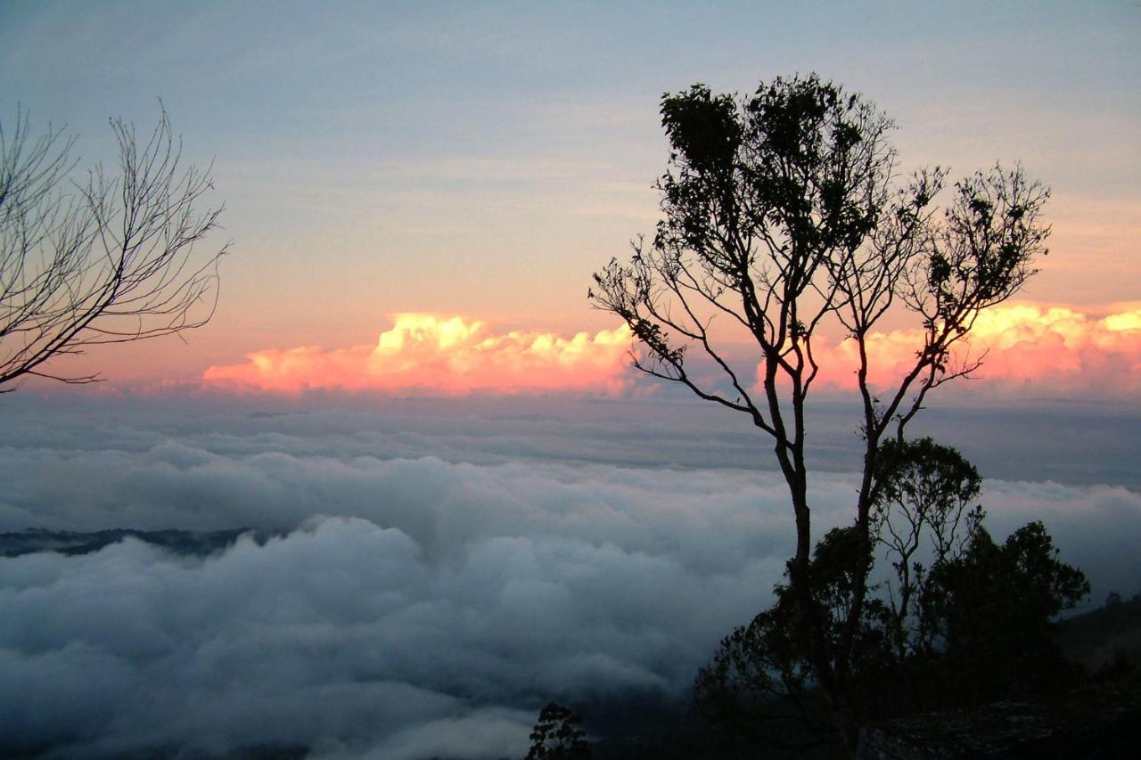 דירות Anachal Mistica Munnar מראה חיצוני תמונה