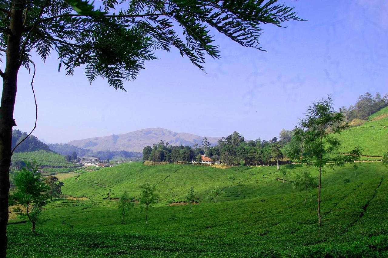 דירות Anachal Mistica Munnar מראה חיצוני תמונה
