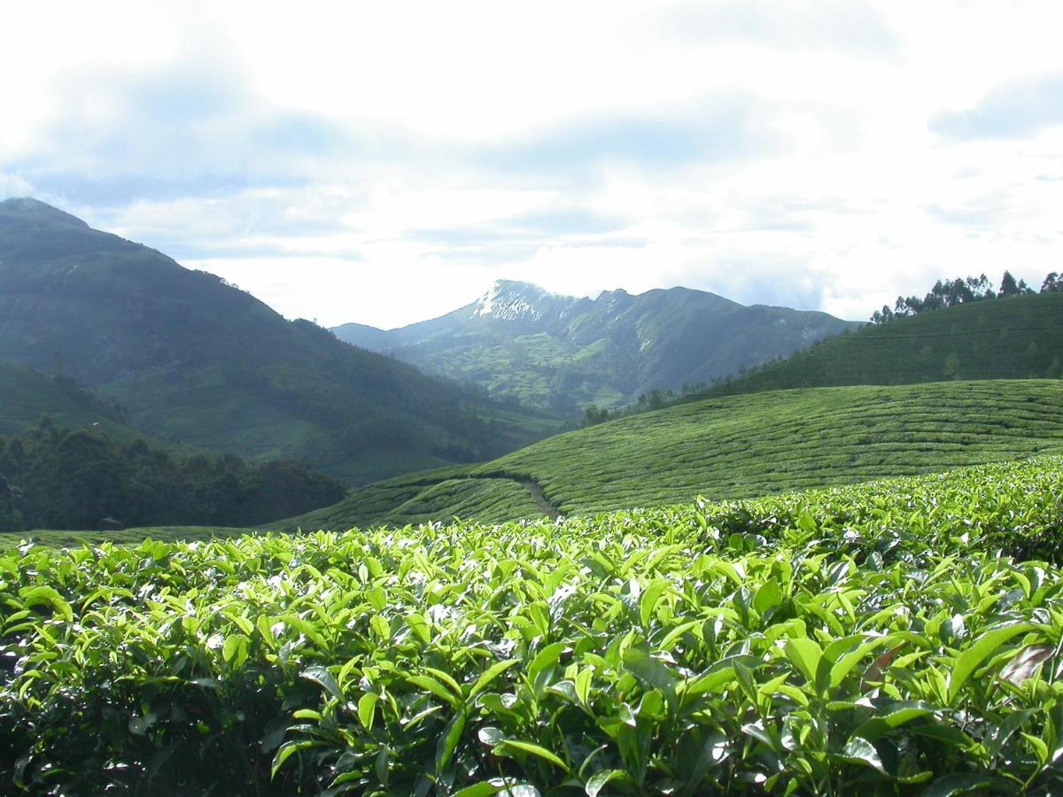 דירות Anachal Mistica Munnar מראה חיצוני תמונה