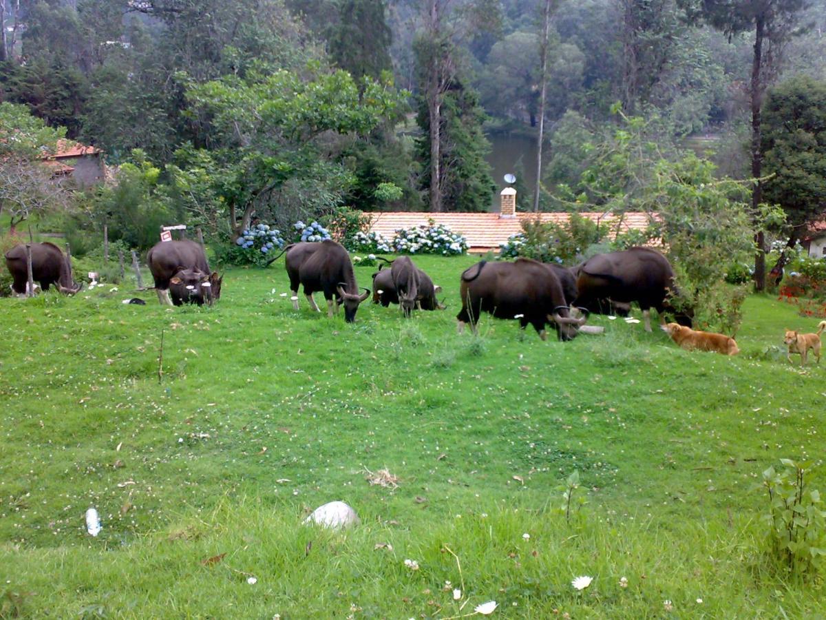 דירות Anachal Mistica Munnar מראה חיצוני תמונה