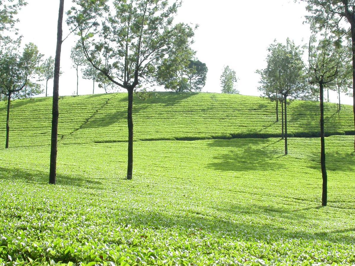 דירות Anachal Mistica Munnar מראה חיצוני תמונה