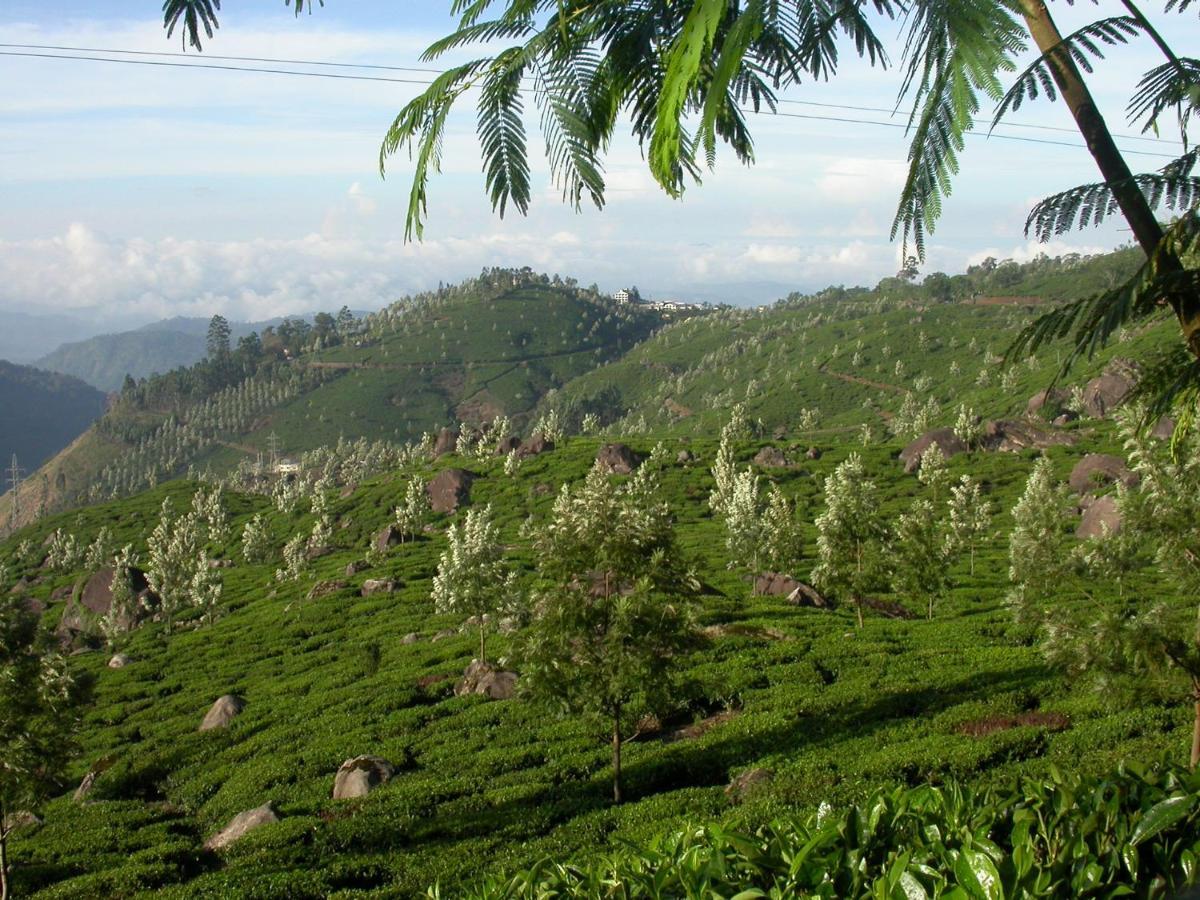 דירות Anachal Mistica Munnar מראה חיצוני תמונה