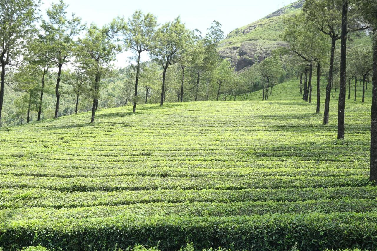 דירות Anachal Mistica Munnar מראה חיצוני תמונה